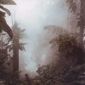 Living in the gleam of an unsheathed swod